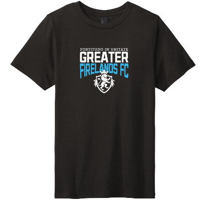 Perfect Tri Tee - Black Image (31197)