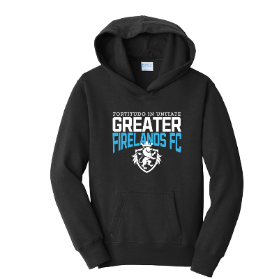 Port & Company® Youth Fan Favorite™ Fleece Pullover Hooded Sweatshirt - Black Image