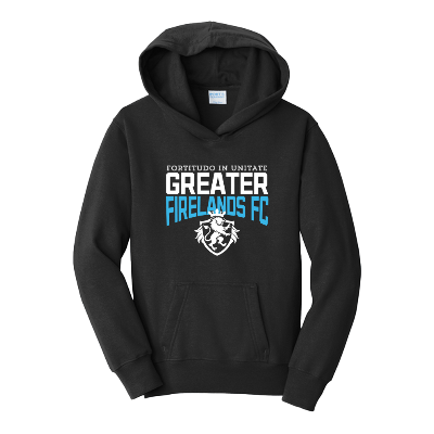 Port & Company® Fan Favorite™ Fleece Pullover Hooded Sweatshirt - Black Image